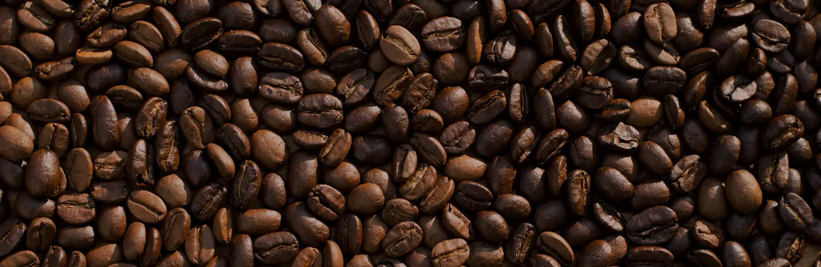 Roasted coffee beans filling the frame